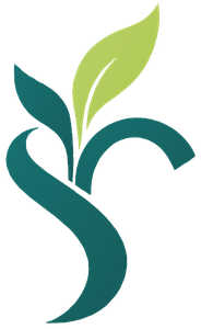 Soul Strategy Group home