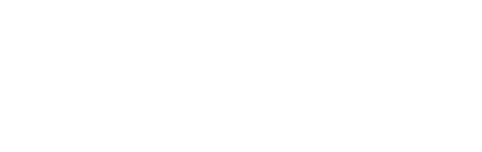Wordmark only, white, on dark background